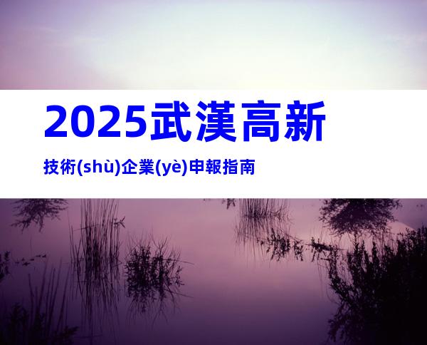 2025武漢高新技術(shù)企業(yè)申報指南