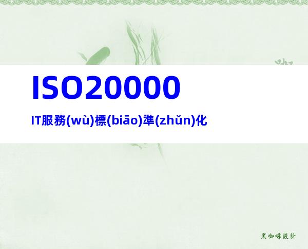 ISO20000IT服務(wù)標(biāo)準(zhǔn)化