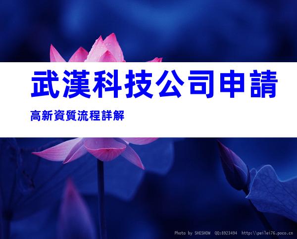 武漢科技公司申請高新資質流程詳解