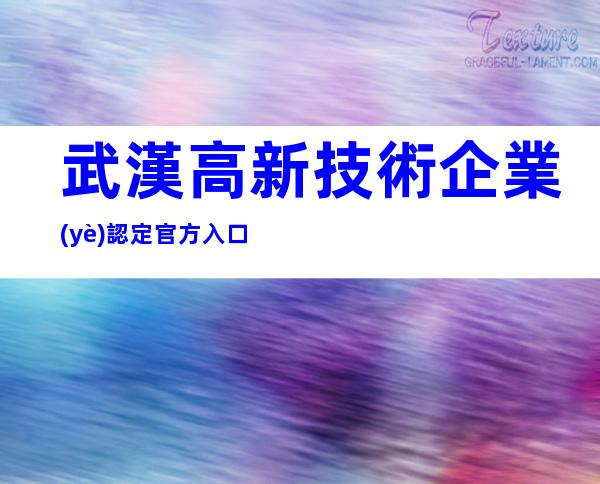 武漢高新技術企業(yè)認定官方入口