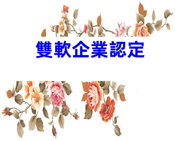 雙軟企業認定